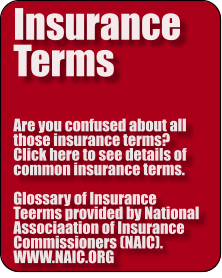 Insurance Terms  Are you confused about all those insurance terms?  Click here to see details of common insurance terms.  Glossary of Insurance Teerms provided by National Associaation of Insurance Commissioners (NAIC).  WWW.NAIC.ORG